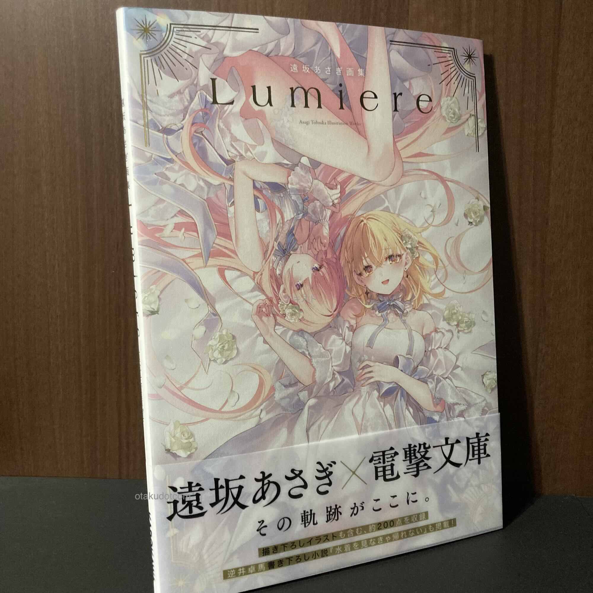 Asagi Tosaka Art Book Lumiere
