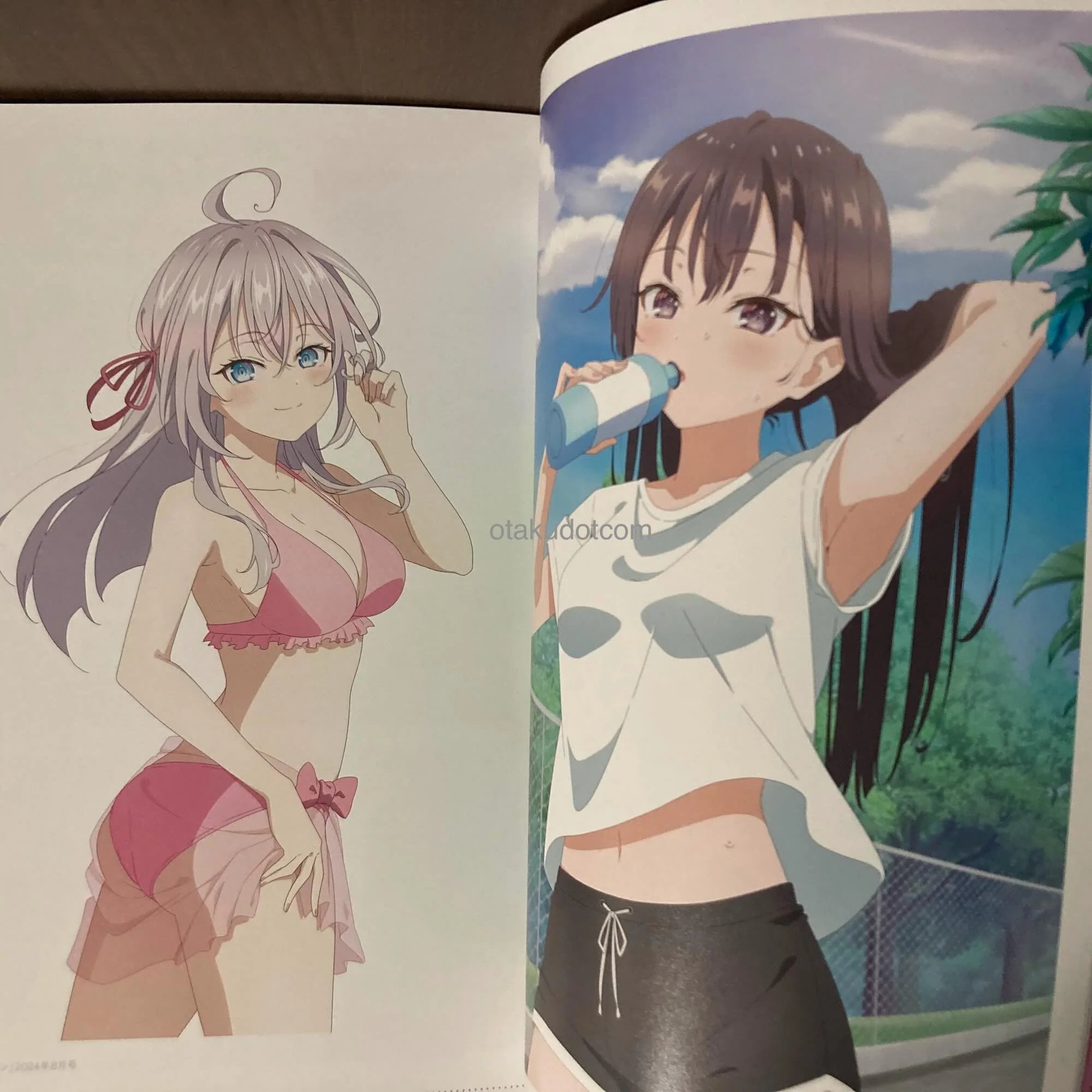 Alya Sometimes Hides Her Feelings in Russian Anime Guide - Image 3