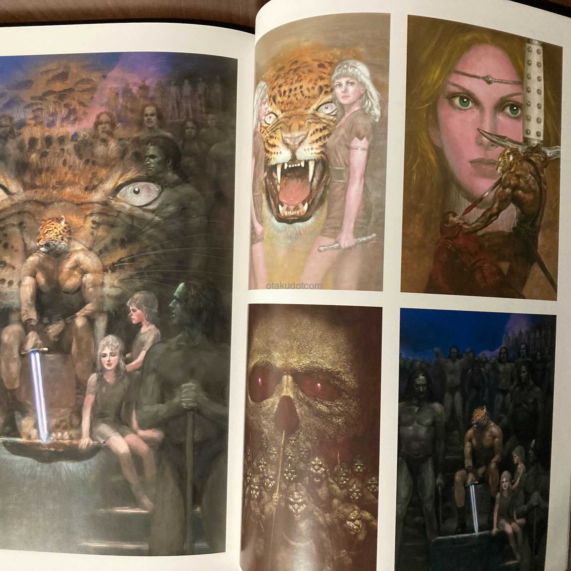 Naoyuki Kato Illustrations - Guin Saga - Image 2