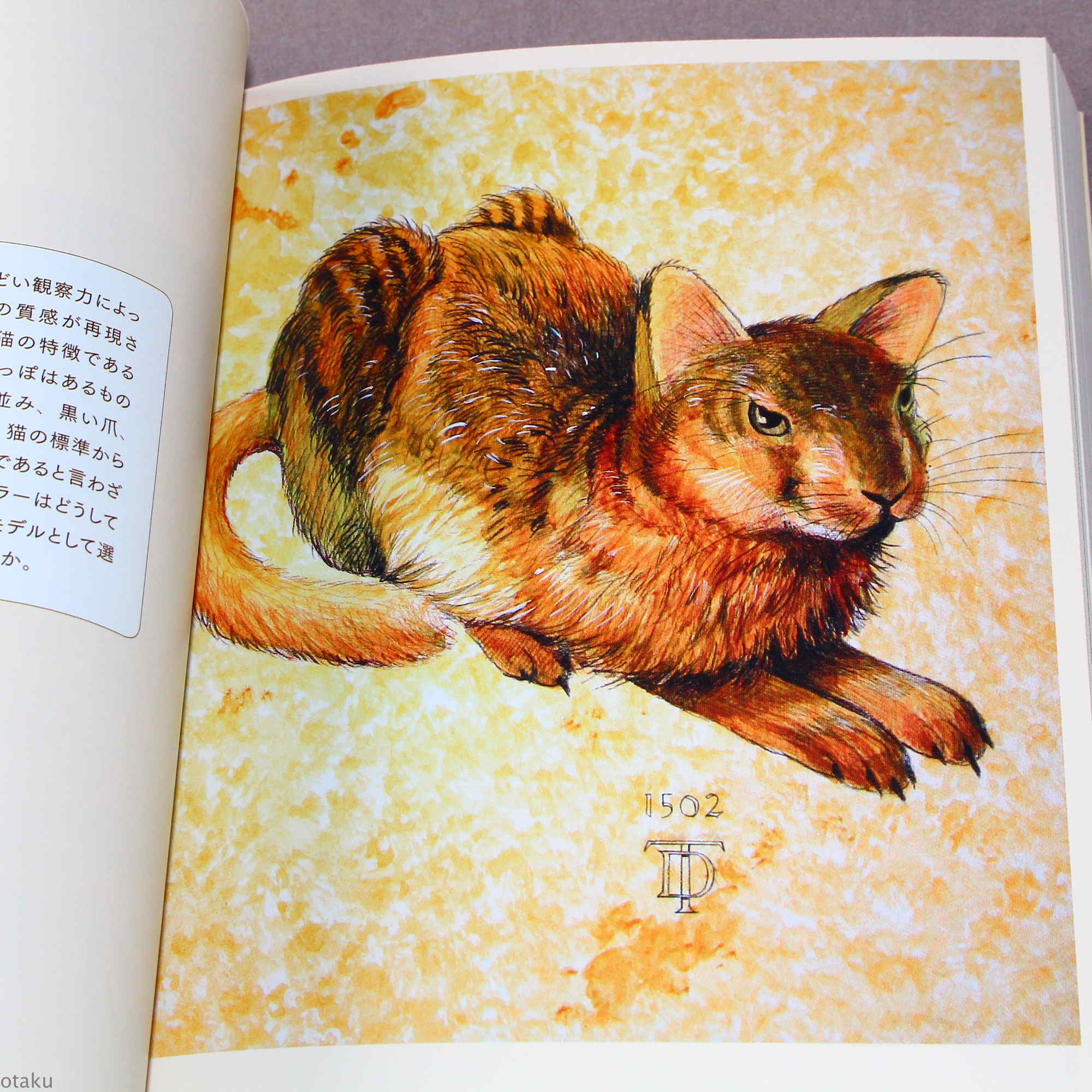 Shu Yamamoto - Cat Art - Image 3