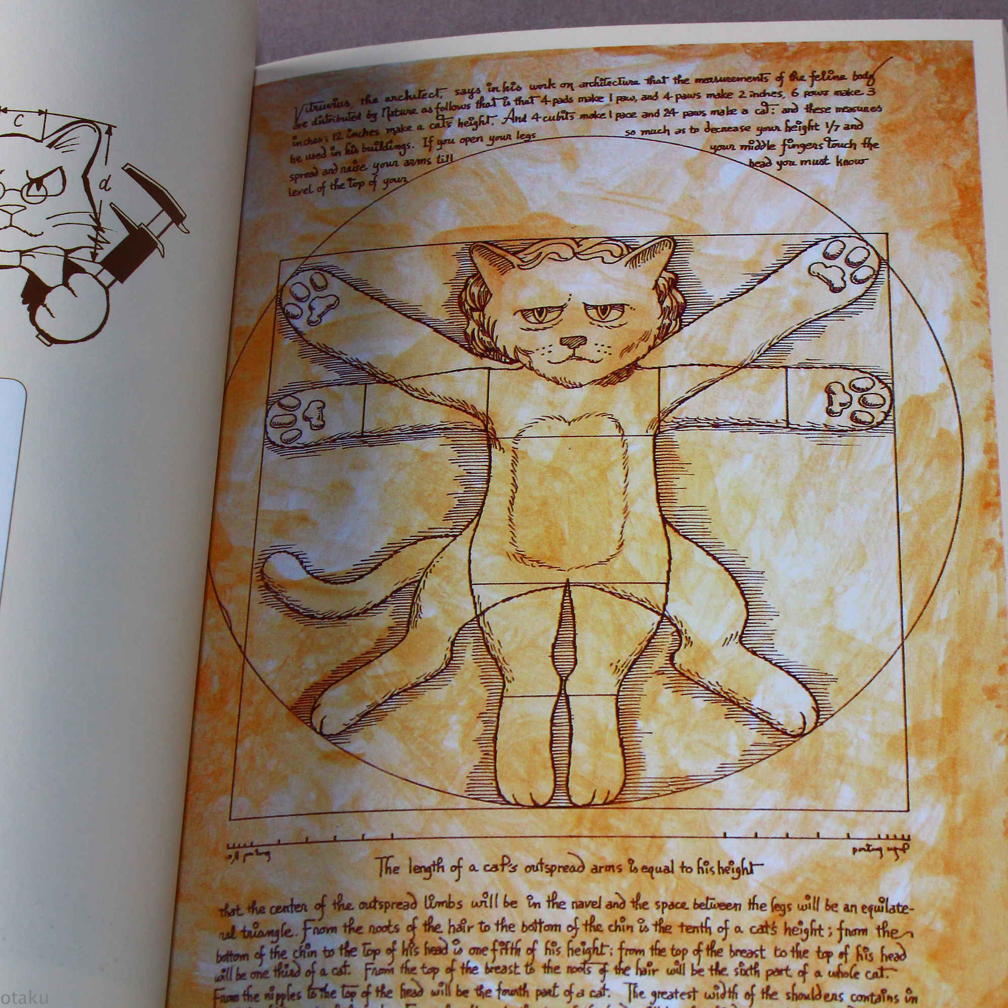 Shu Yamamoto - Cat Art - Image 4