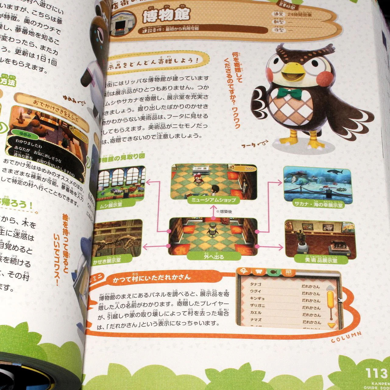 Animal Crossing Doubutsu No Mori Guide Book - Image 4