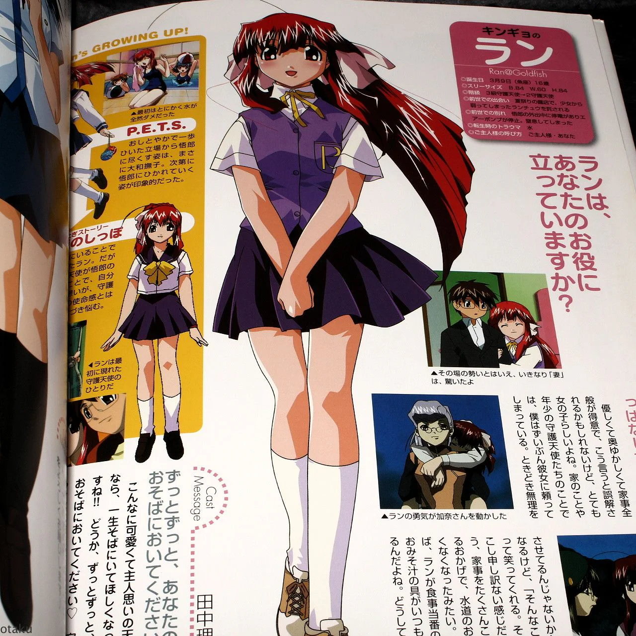 Angels Tail Chu / Tenshi No Shippo Chu - Art Book - Image 2