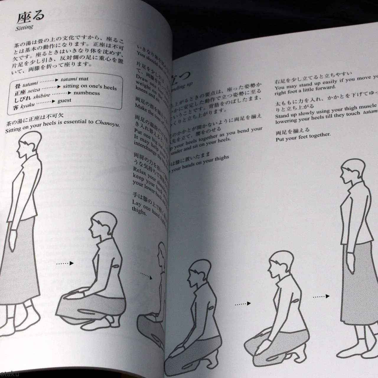 English for use in Chanoyu - Japan Tea Ceremony Guide Book - Image 2