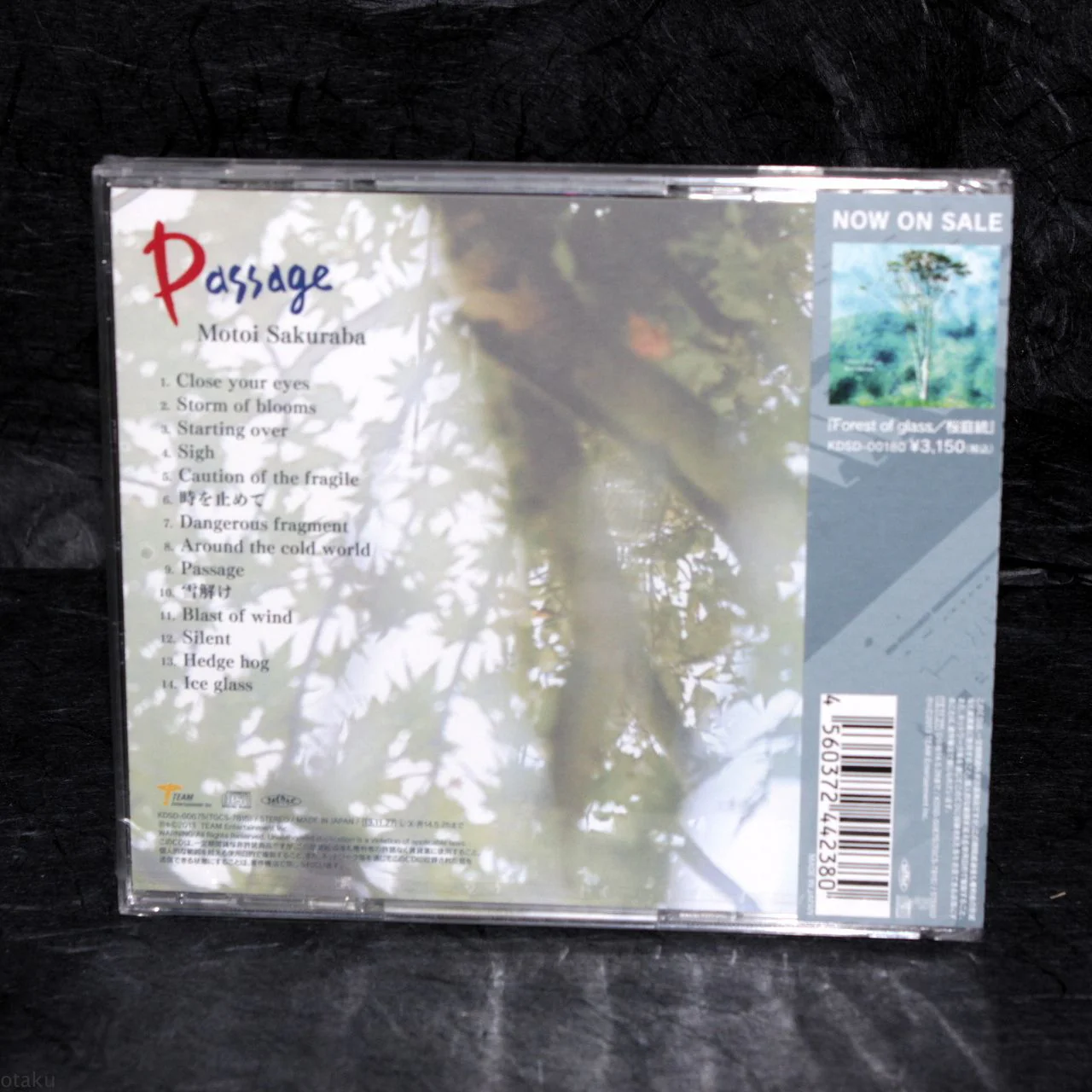 Motoi Sakuraba - Passage - Image 2