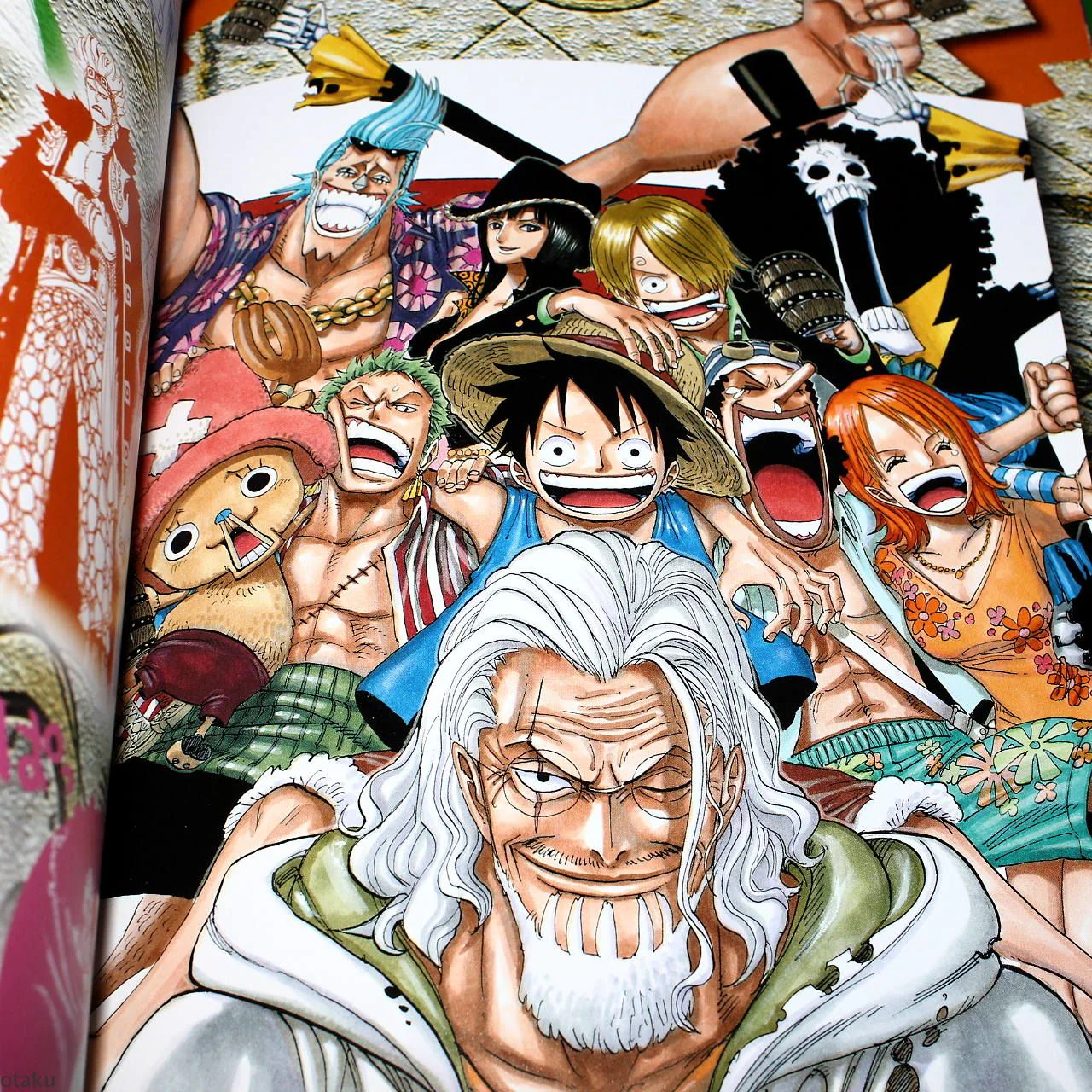 One Piece Color Walk 6 - Gorilla - Image 2