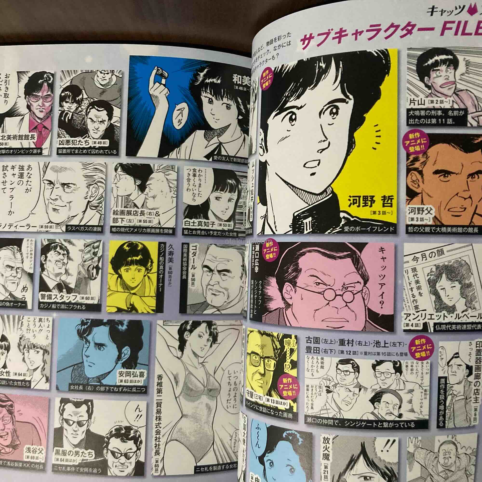 Cat's Eye Gaho 45th Anniversary Art and Guide Book - Image 2