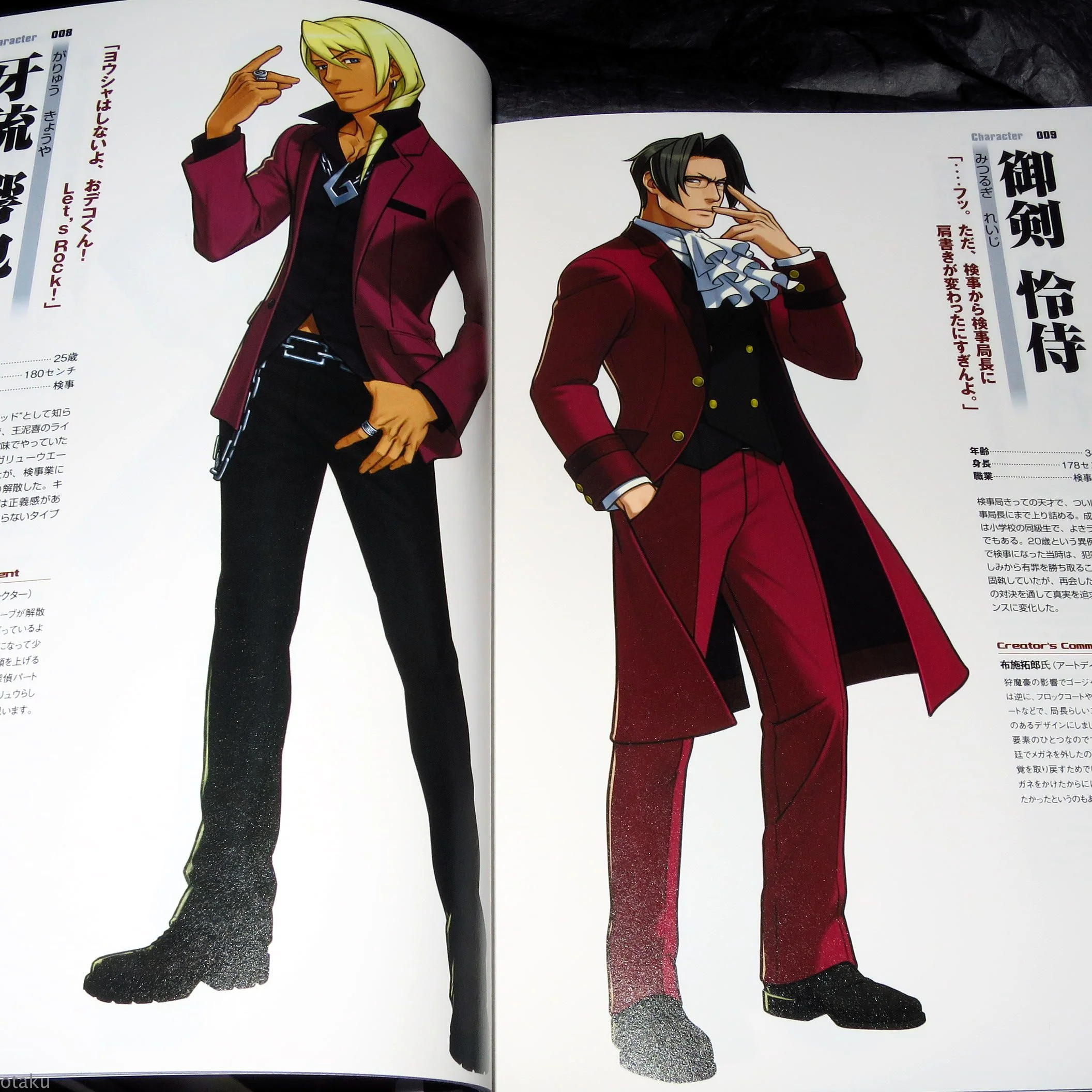 Gyakuten Saiban / Ace Attorney 5 - Official Visual Art Book - Image 2
