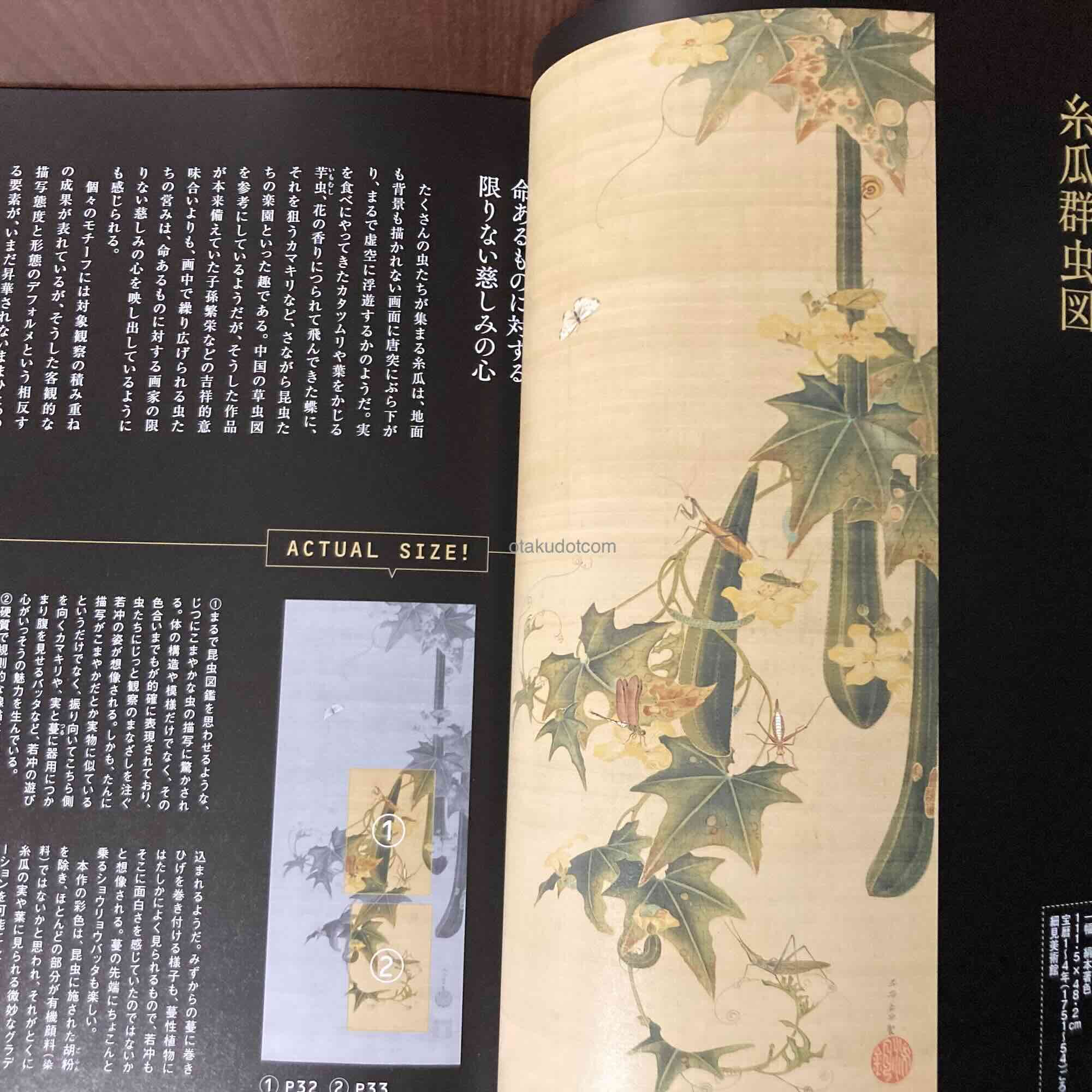 Ito Jakuchu 100% Jakuchu plus - Image 3