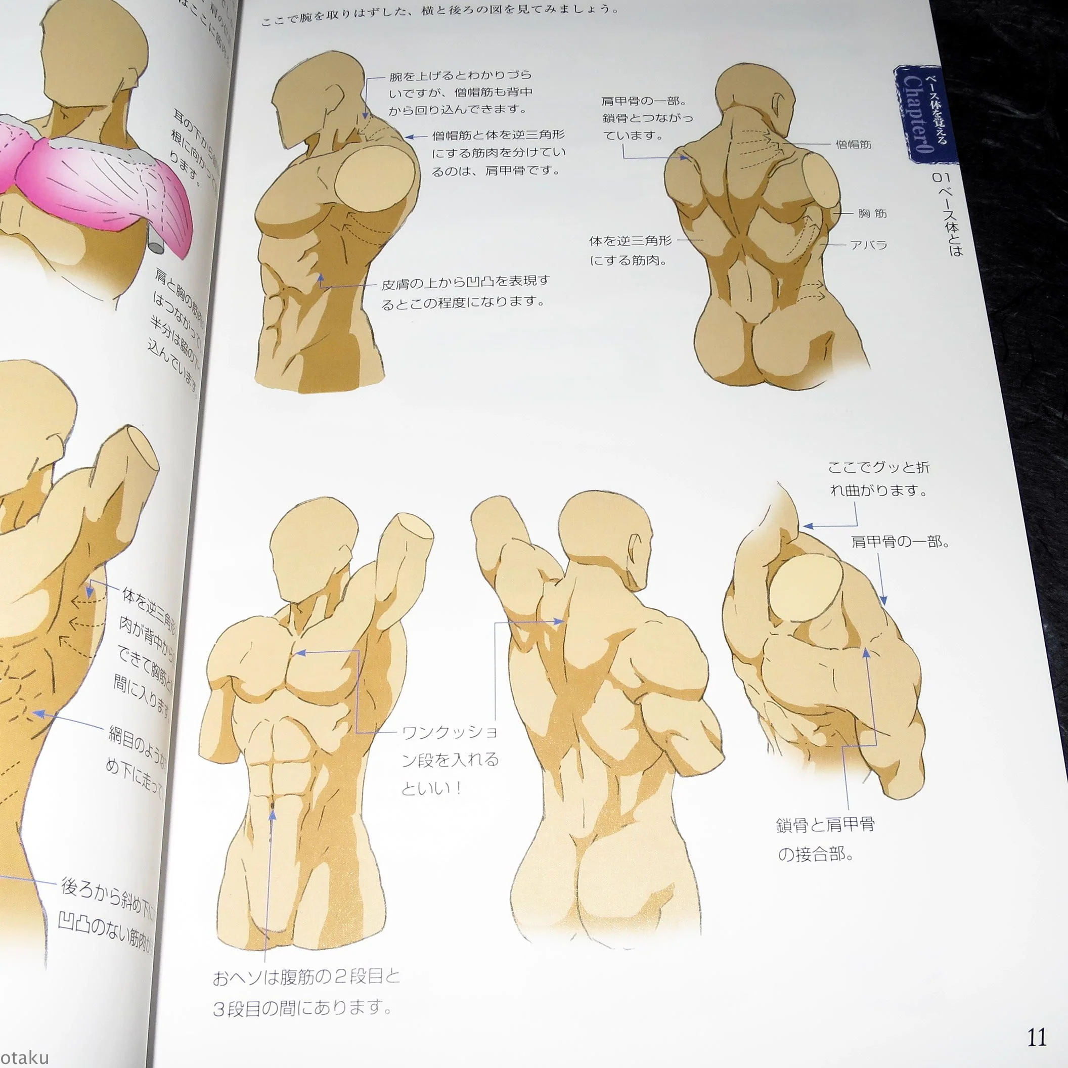 How to Draw Half Human Creatures - Image 5
