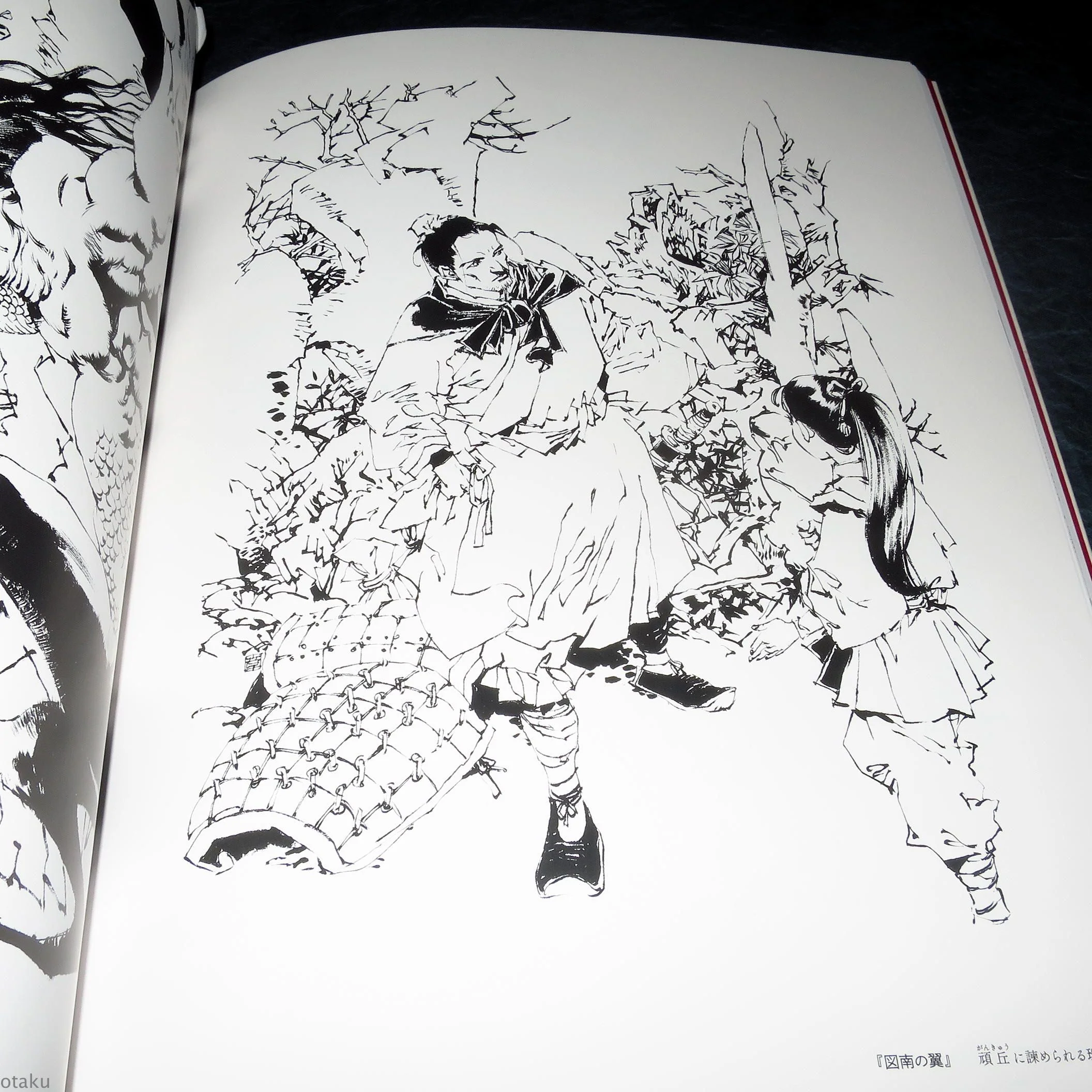 Akihiro Yamada - Kuon no Niwa / Twelve Kingdoms - Art Book - Image 6