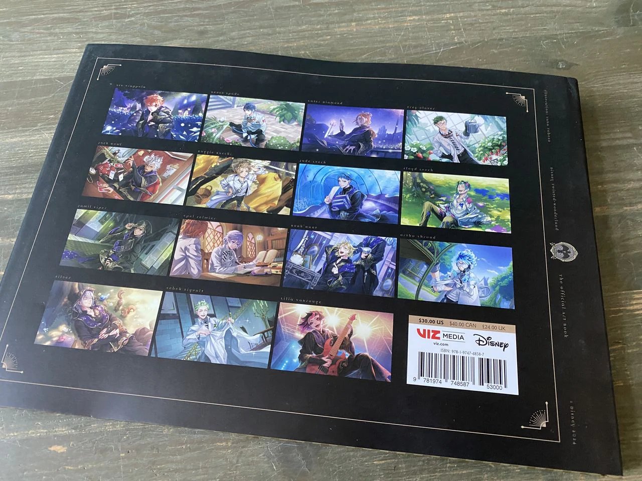 Disney Twisted-Wonderland: The Official Art Book - Image 2